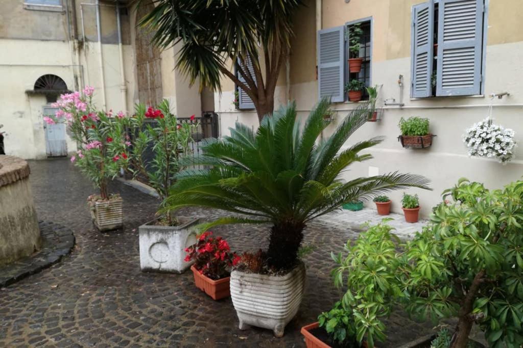Trastevere House Apartment Rome Bagian luar foto